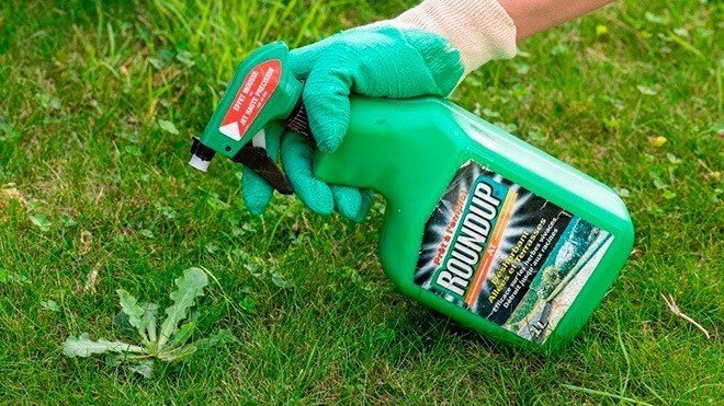 Пестициды для борьбы с сорняками