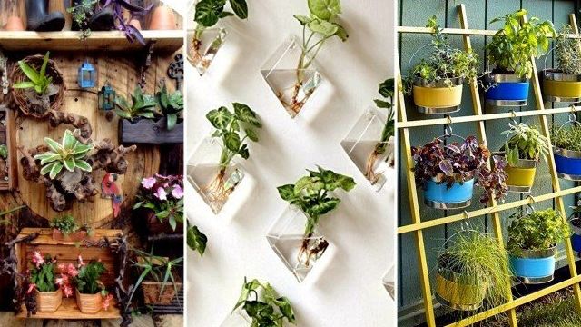 19 чудесных вертикальных садов, которые каждый может сделать на даче или в квартире при минимуме места