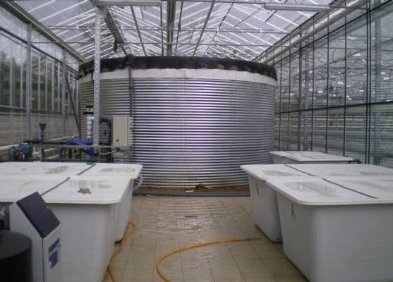 Металлическая резервуар для воды на тепличные комплексы