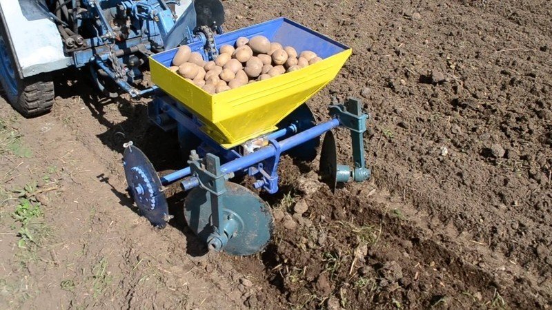 Посадка картофеля минитрактором картофелесажалкой