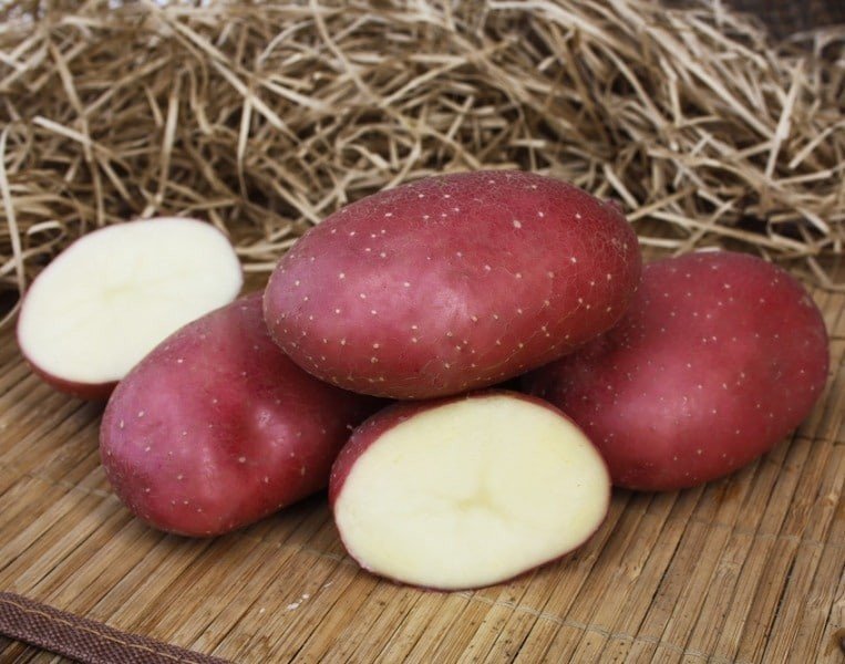 Семенной картофель ред скарлет