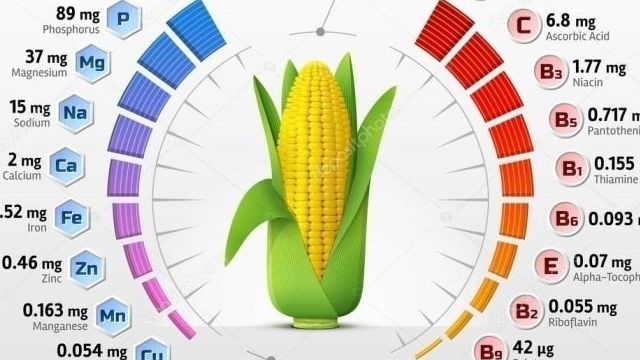 Вареная кукуруза (48 фото): польза и вред для здоровья, рецепты и как хранить, свойства и гликемический индекс