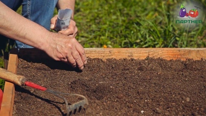 Подготовка почвы в открытом грунте