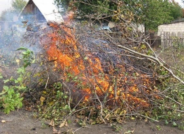 Особый противопожарный режим в оренбургской области
