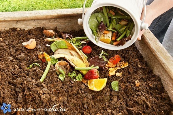 Пищевые отходы в компост
