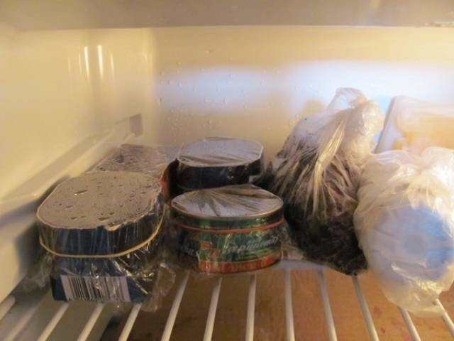 Стратификация семян в домашних условиях в холодильнике