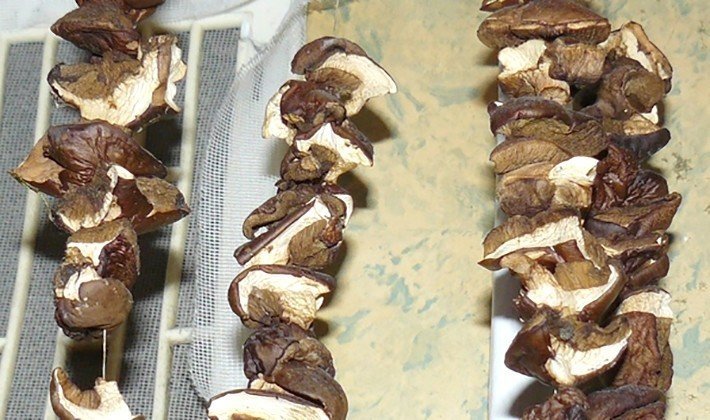 Сушеные грибы на веревочке