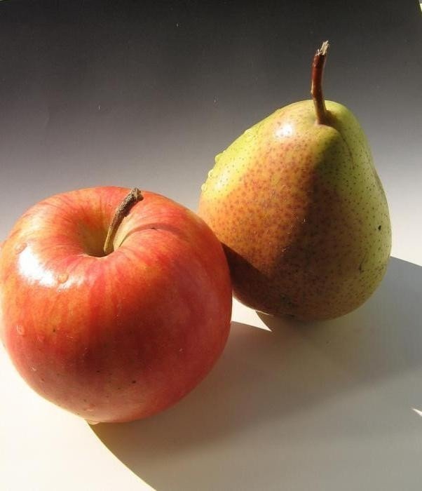 Яблоко-груша сорт яблок