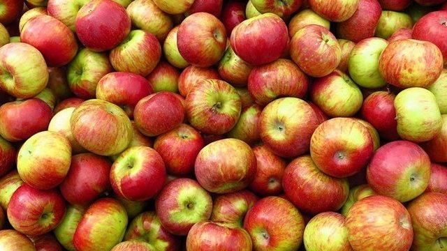 Как заморозить яблоки в морозилке холодильника на зиму